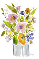 Image Not Available